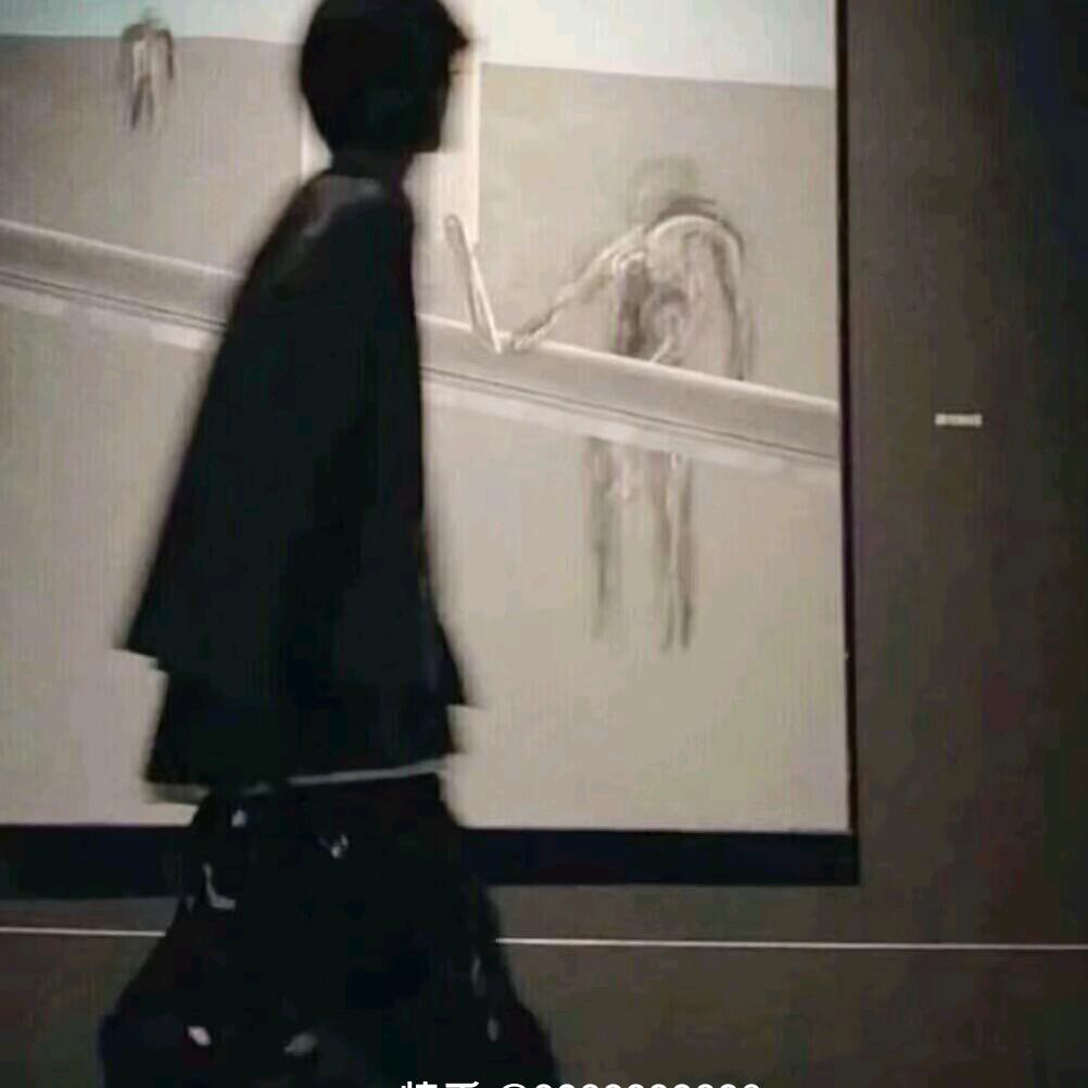 爱国者