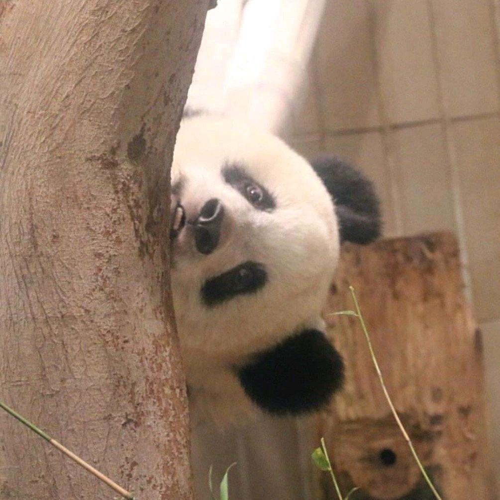 这个名字还可以啊