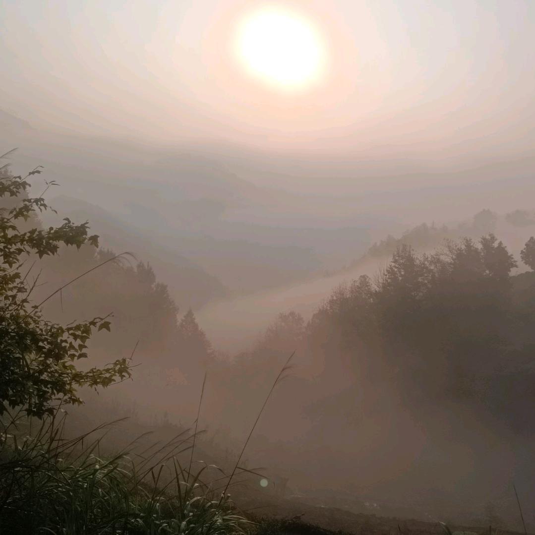 觅山