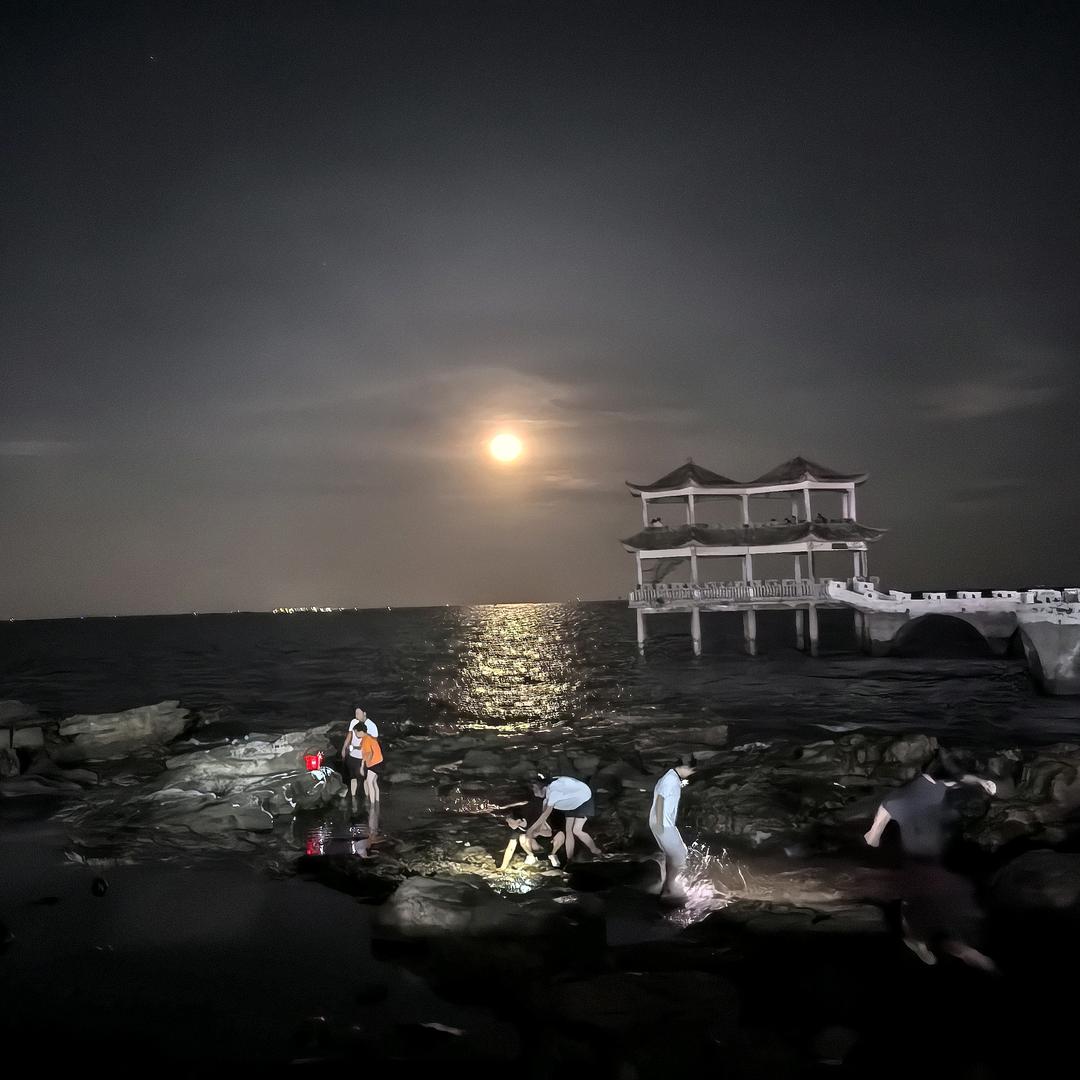 梦鸽装饰~张陈东