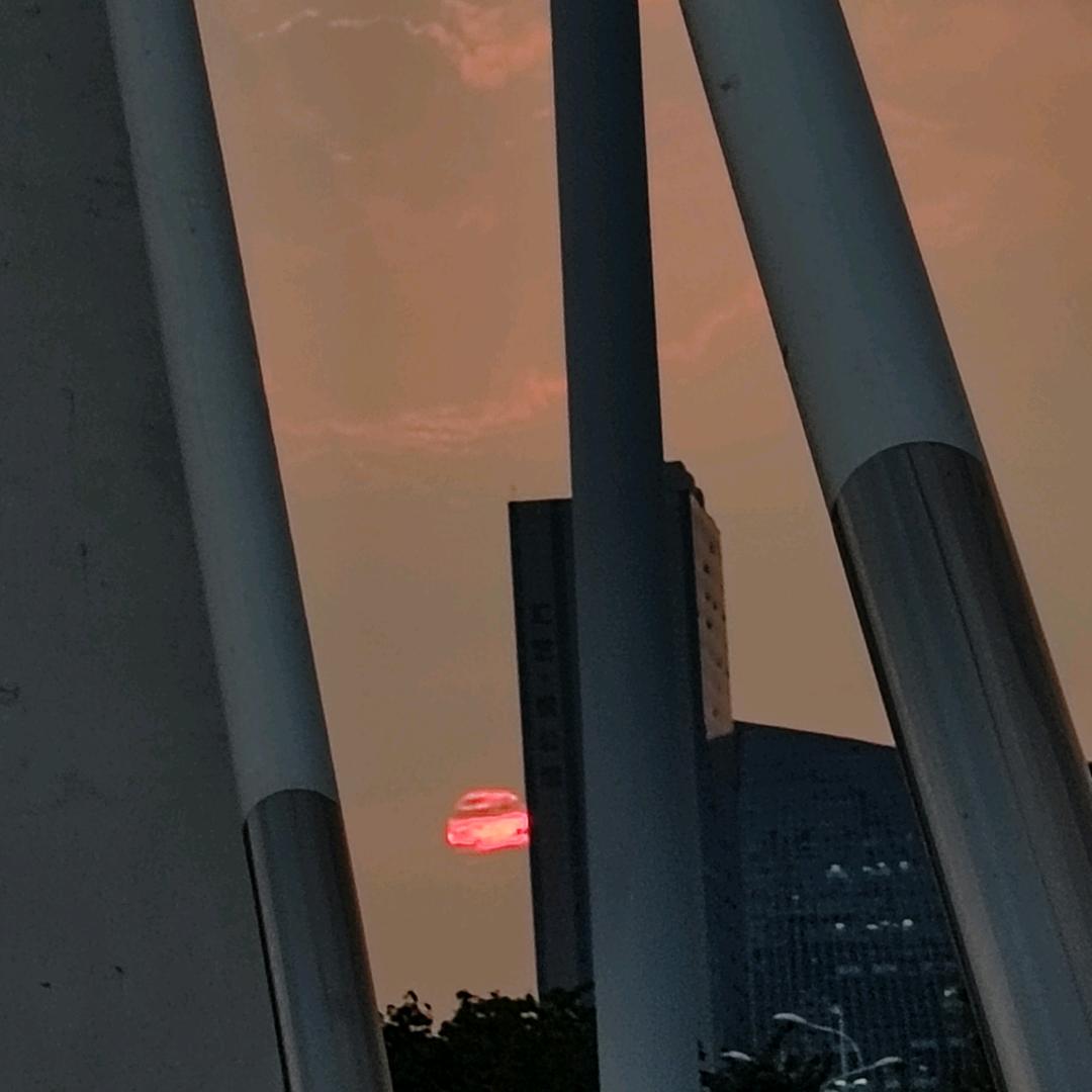 自然生态学