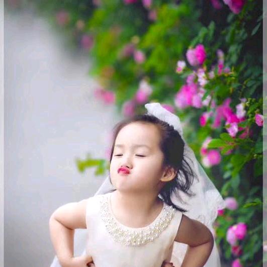 小z老师
