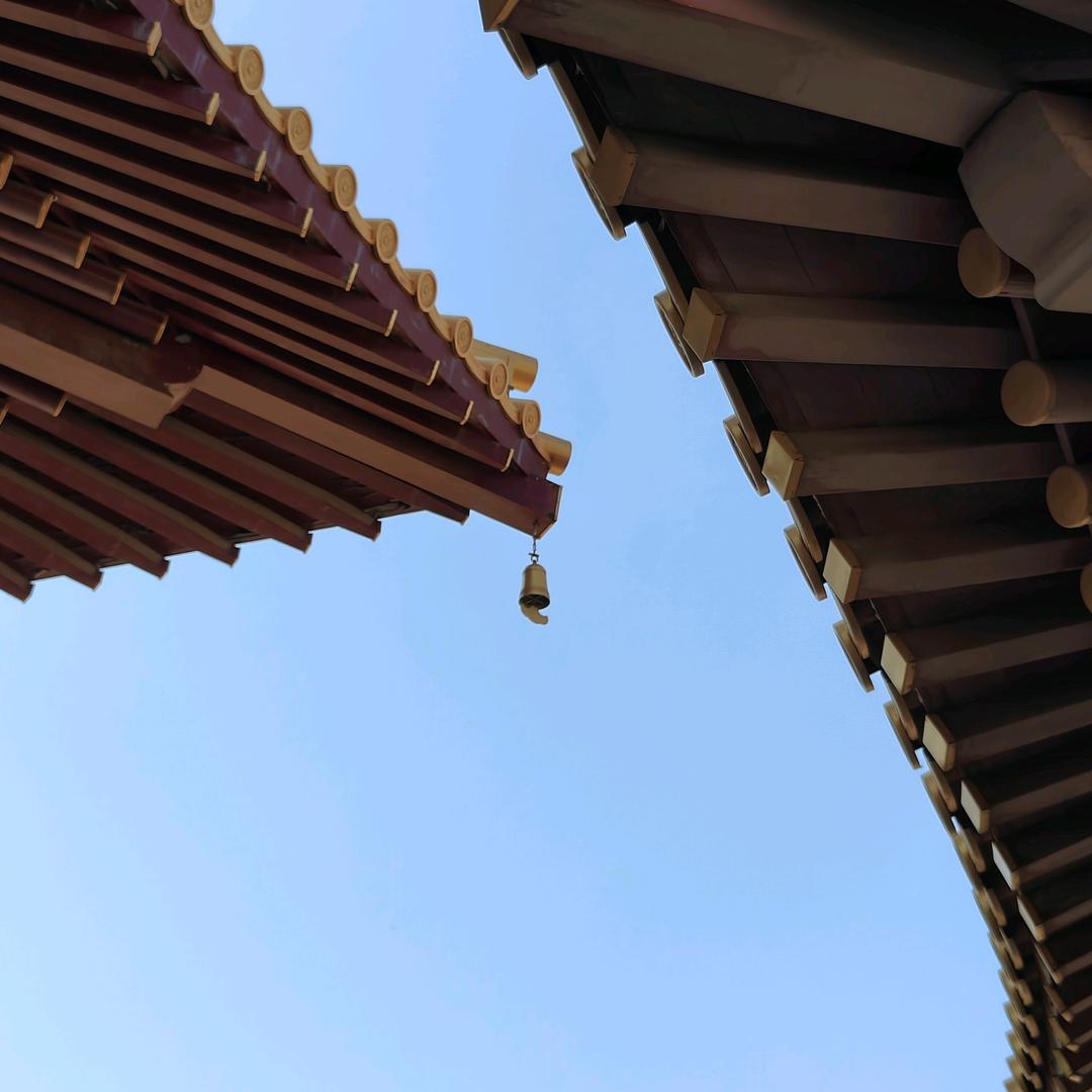 专科规划启明老师