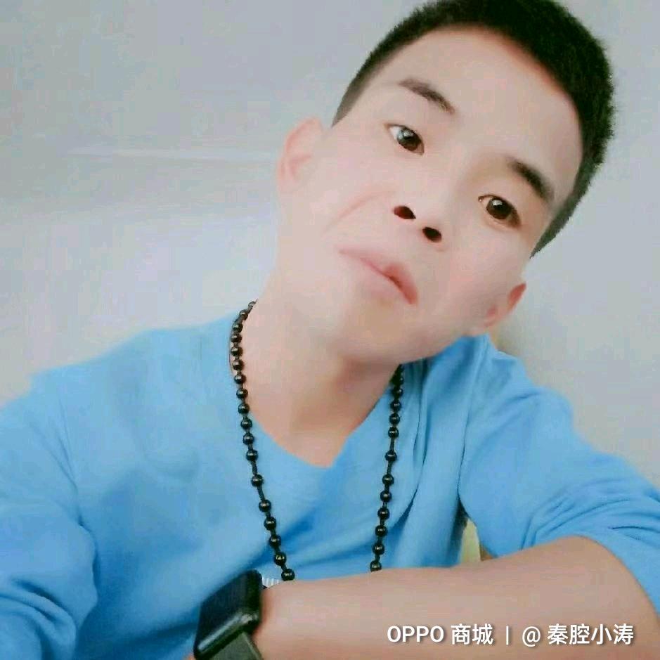 旬邑小涛