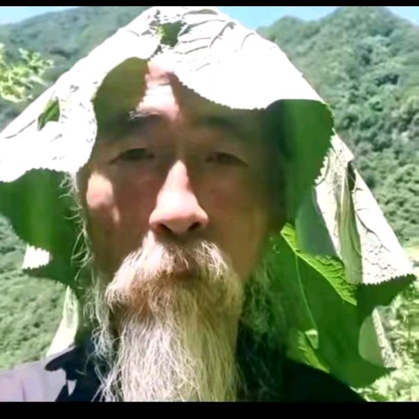 维京人