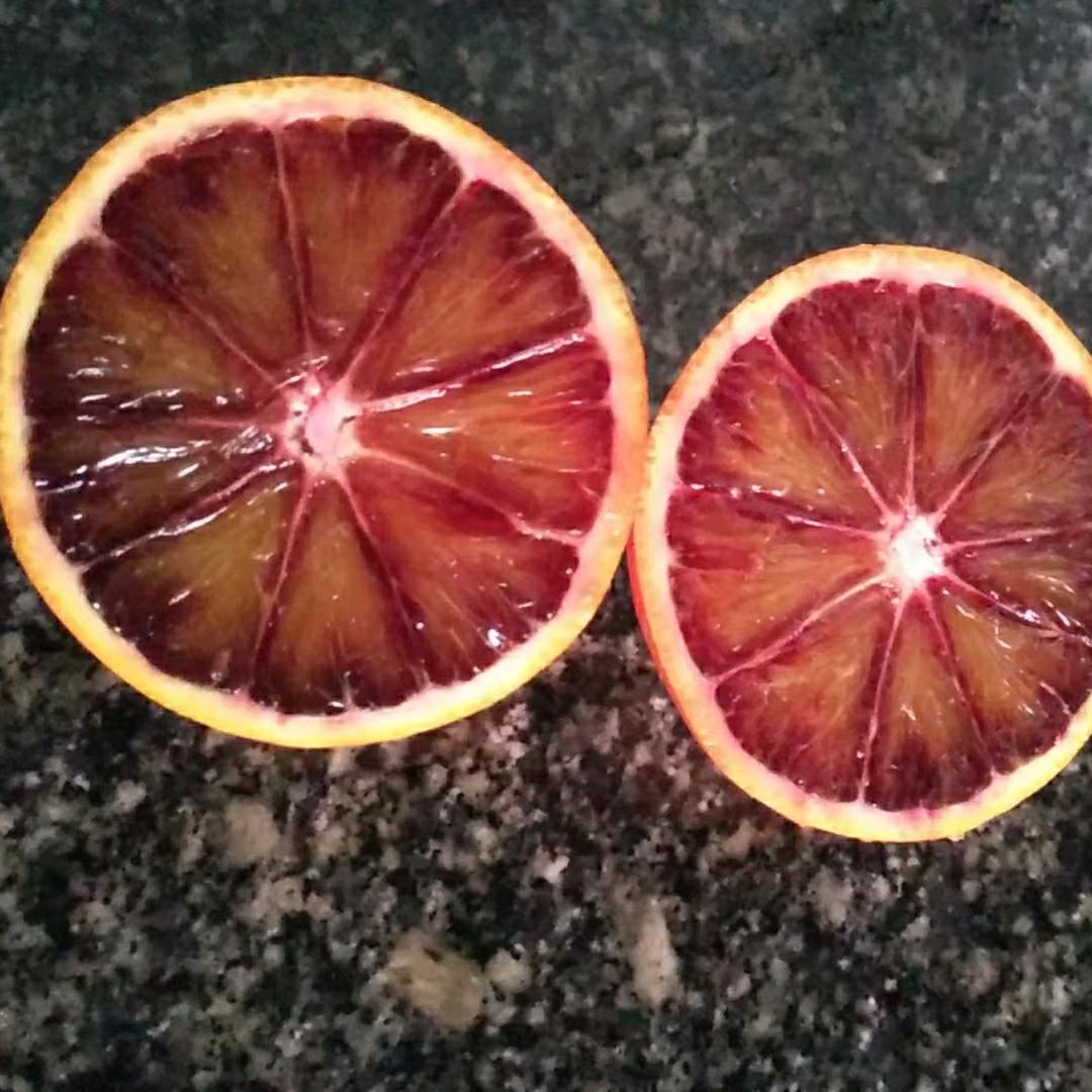 苗乡情缘