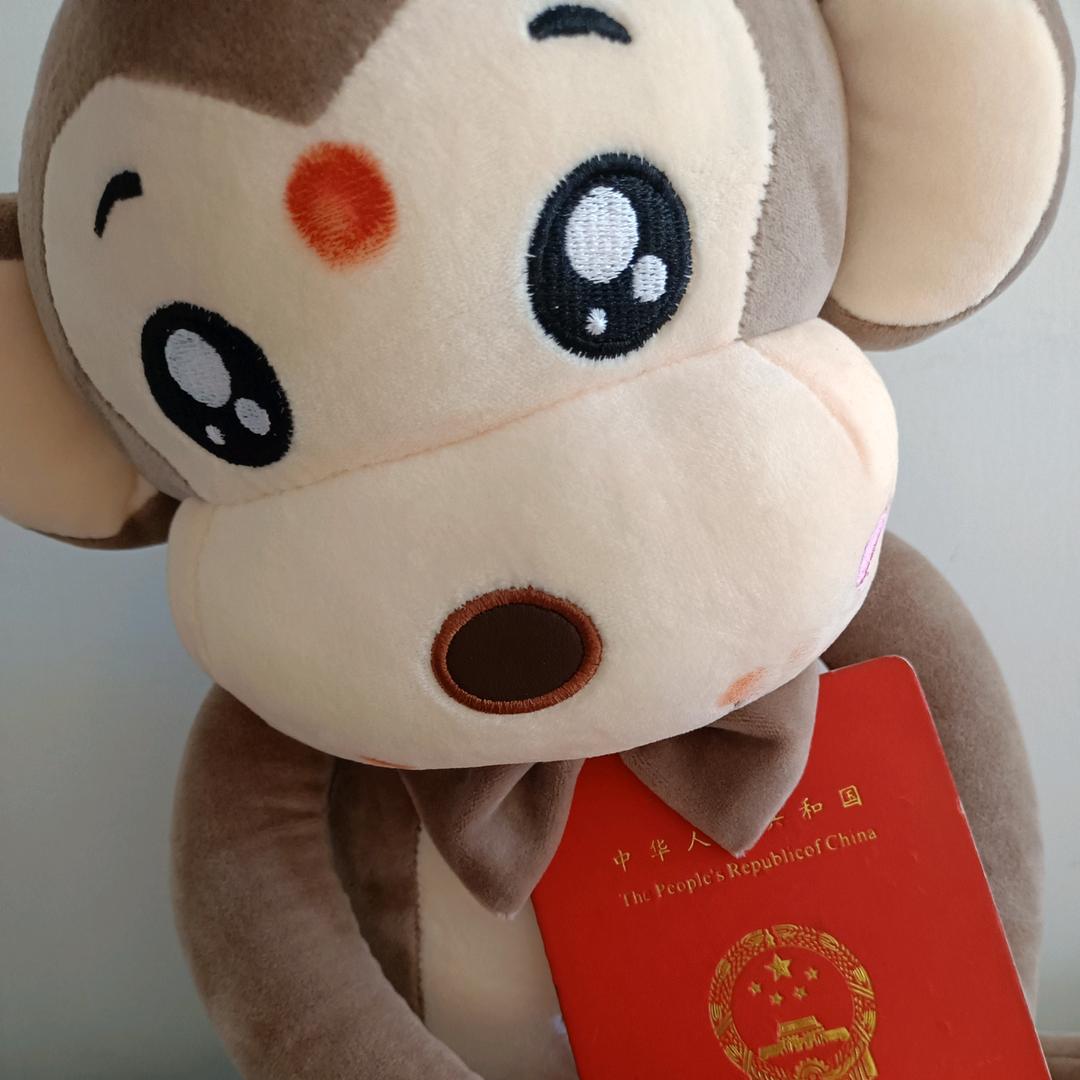 苏安李阿姨