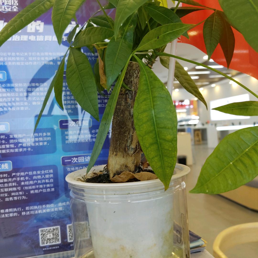 懵圈