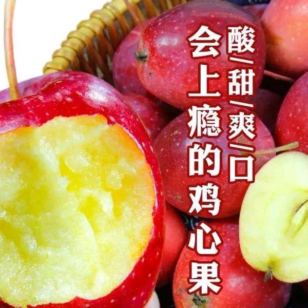 a15144331771