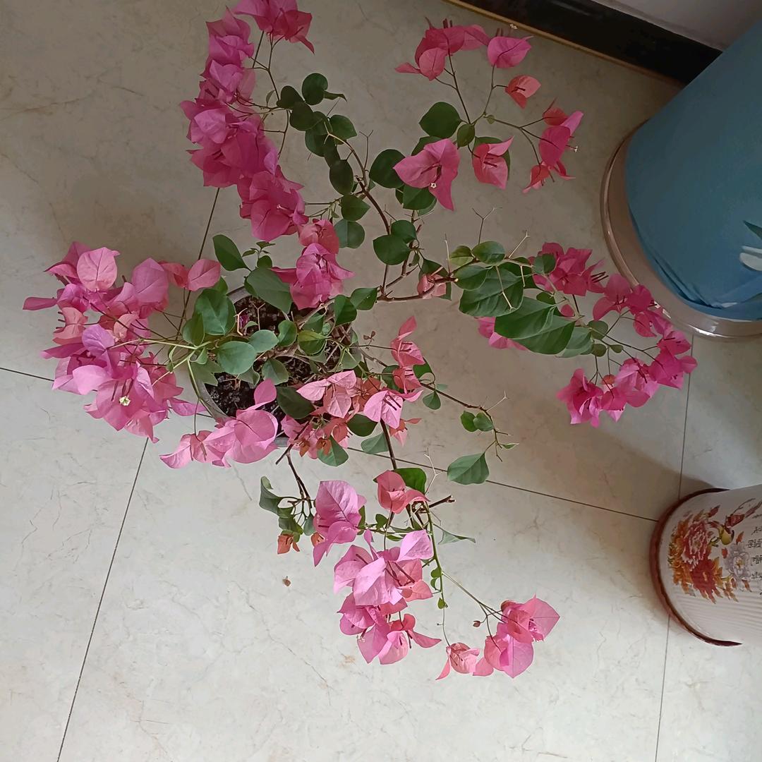 惜缘