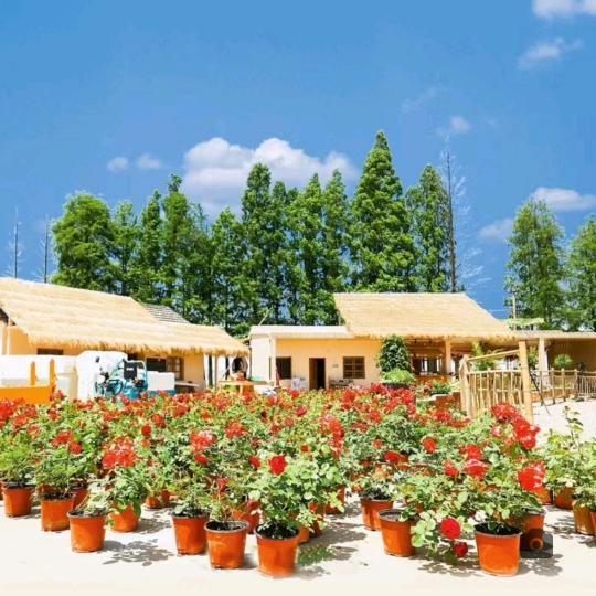 原创服装设计-小陈