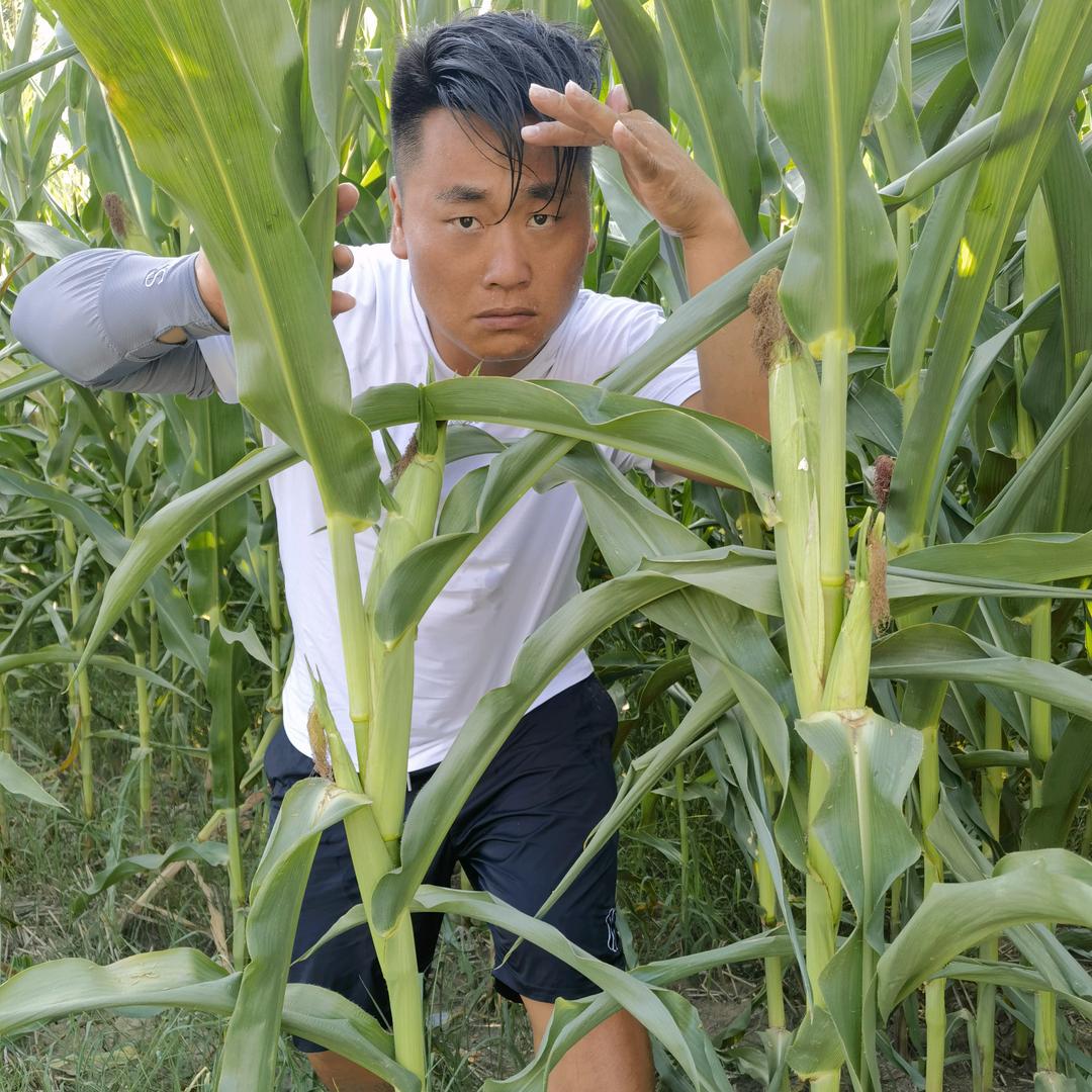 游得六