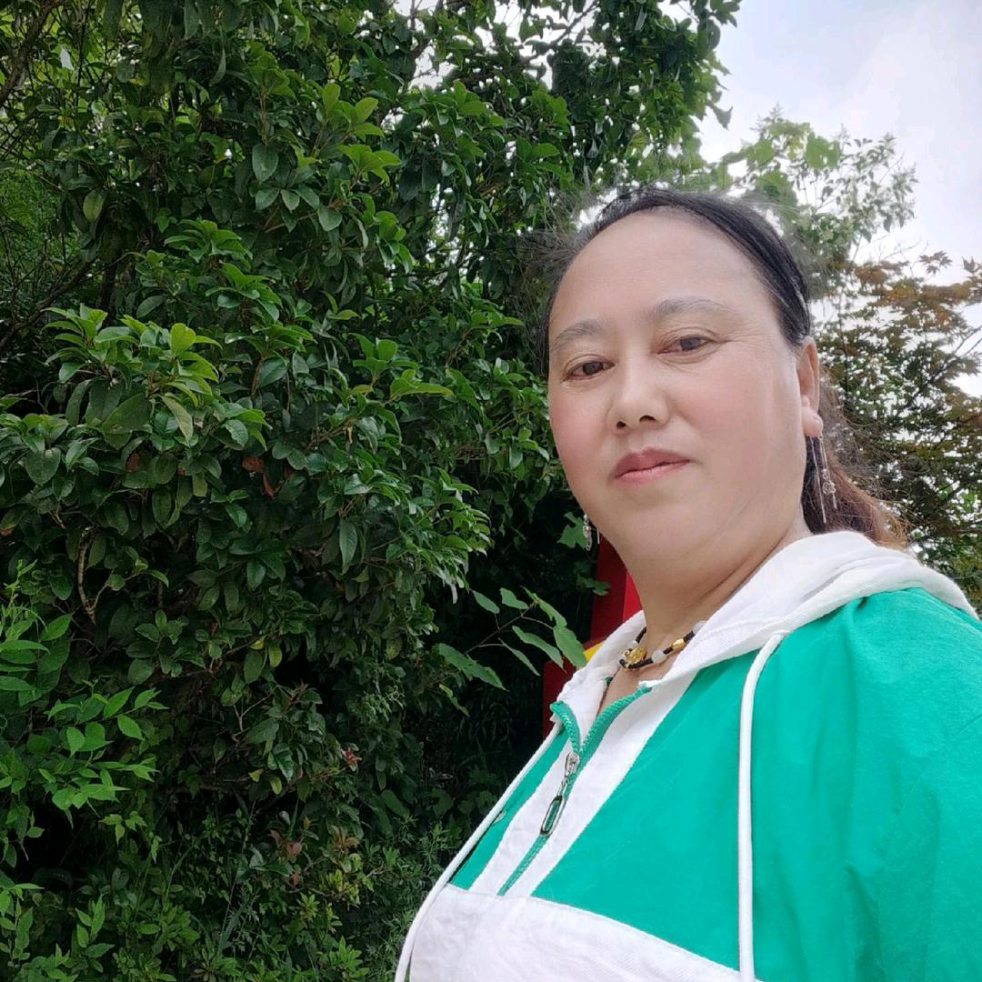杨珍珍