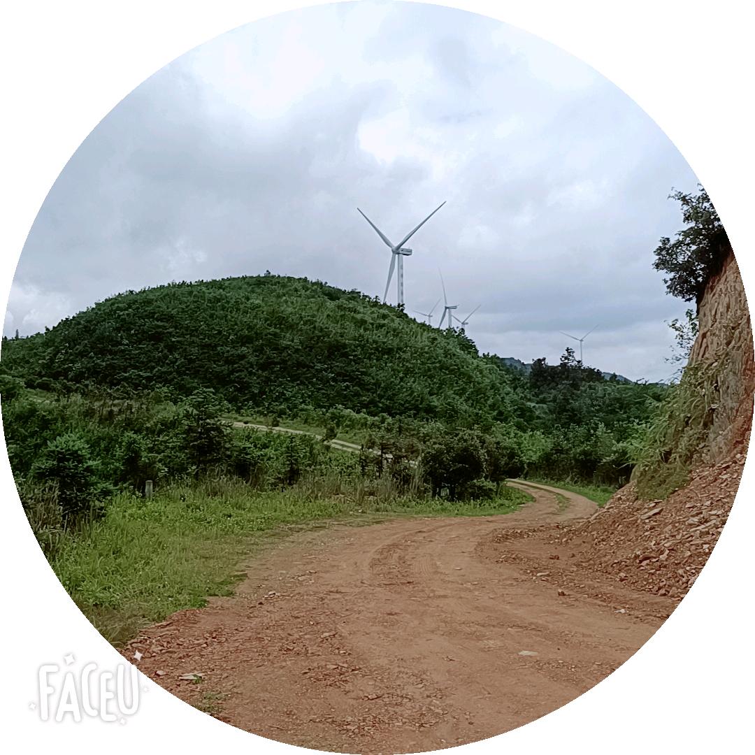 每天都要美美的