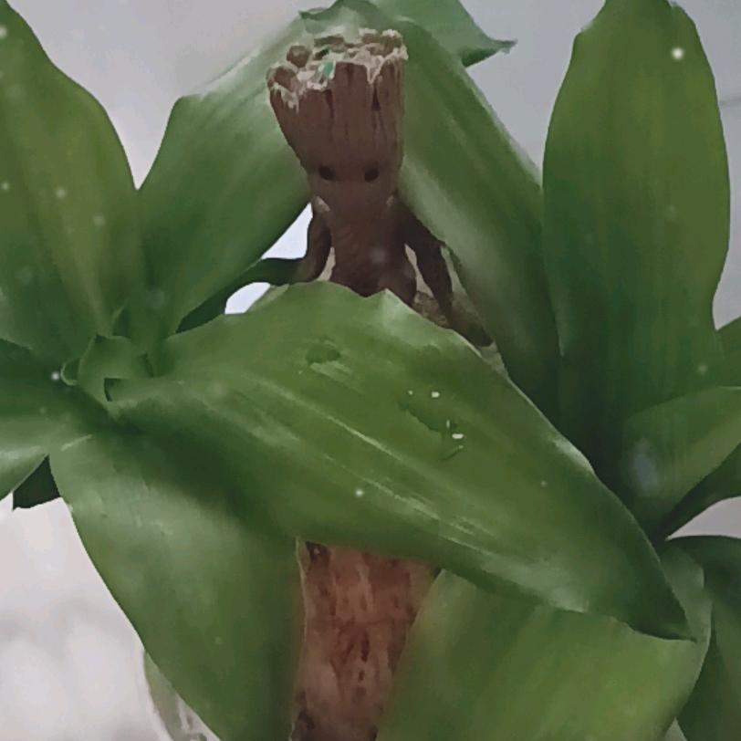 就此封心