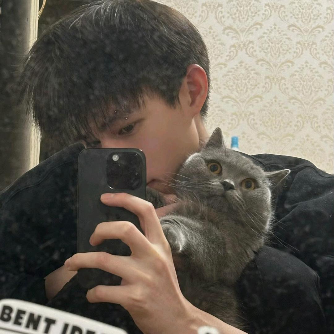 旧茶不敌新酒烈