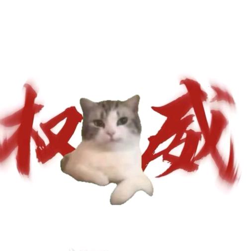 猫meme搞笑小剧场
