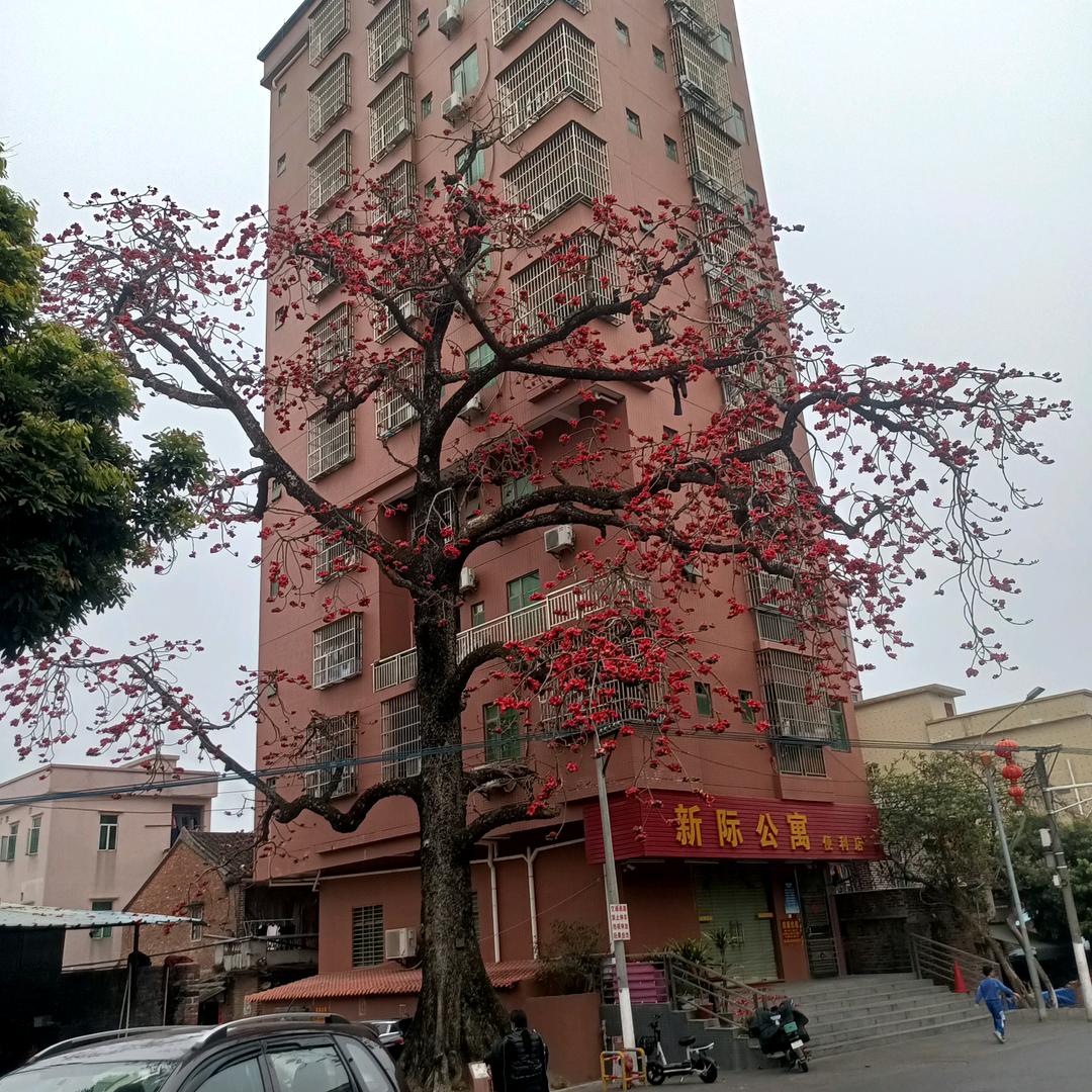 湘侨企业(优选工厂)