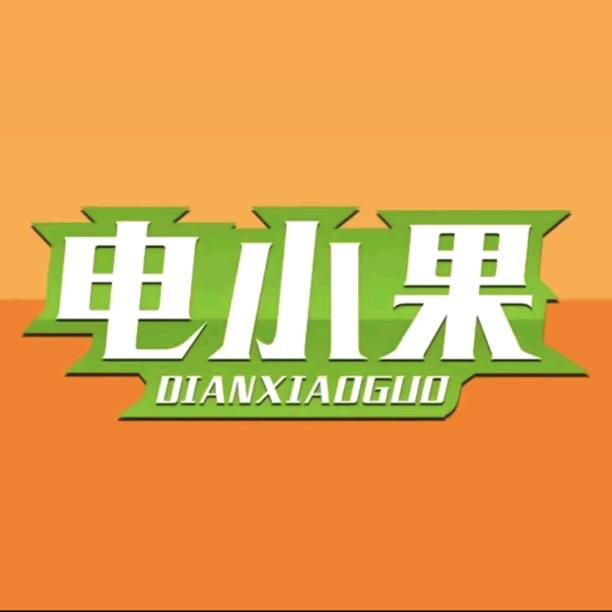 电小果金德网络专卖店