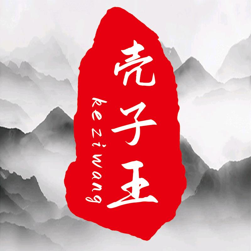 重生之我是湖南壳子王