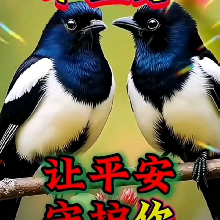 德善