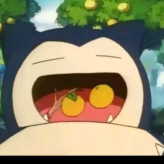 桐桐家的小卡比❤️🍦🍦🍦❤️