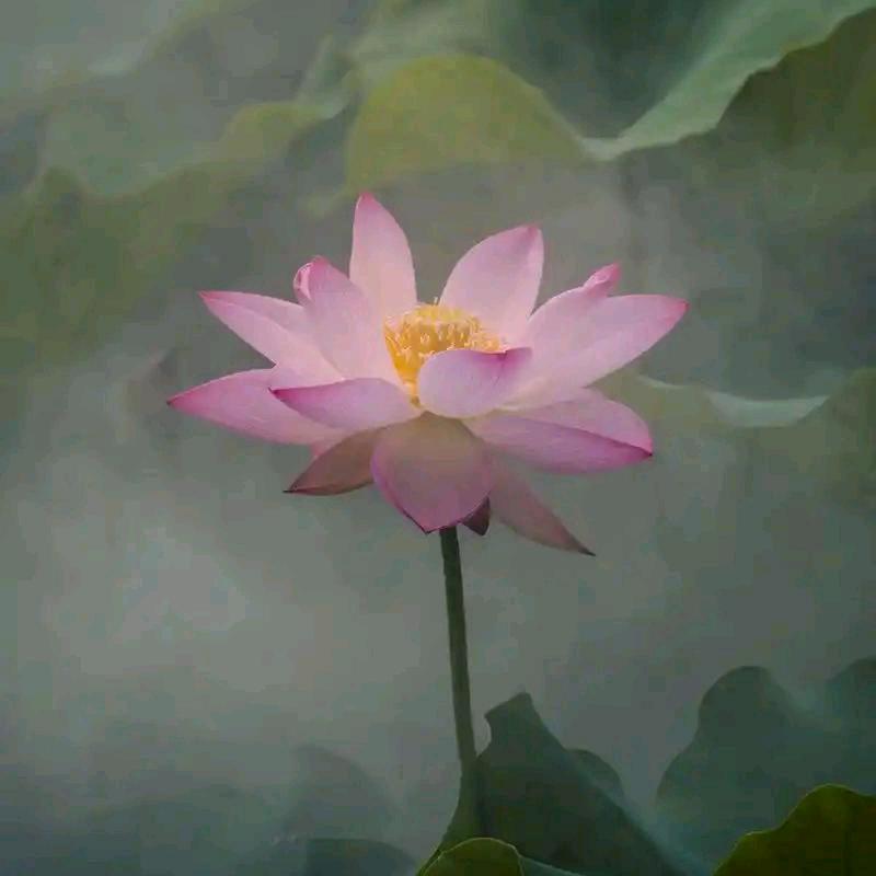 21度阳光夏
