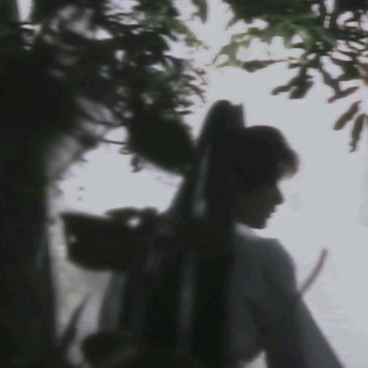 漫随