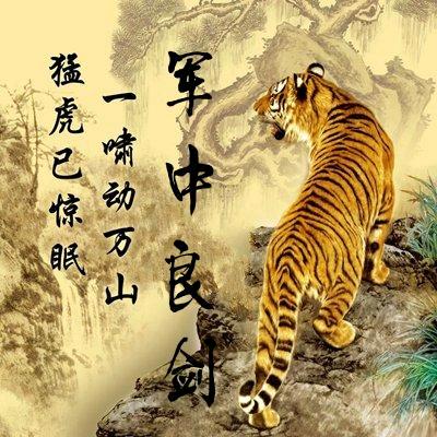 军中良剑
