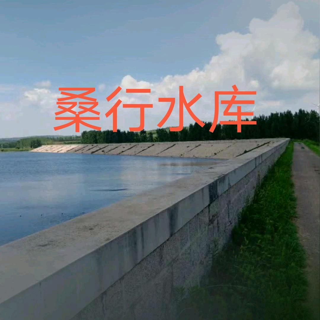 🎣战狼野钓🎣