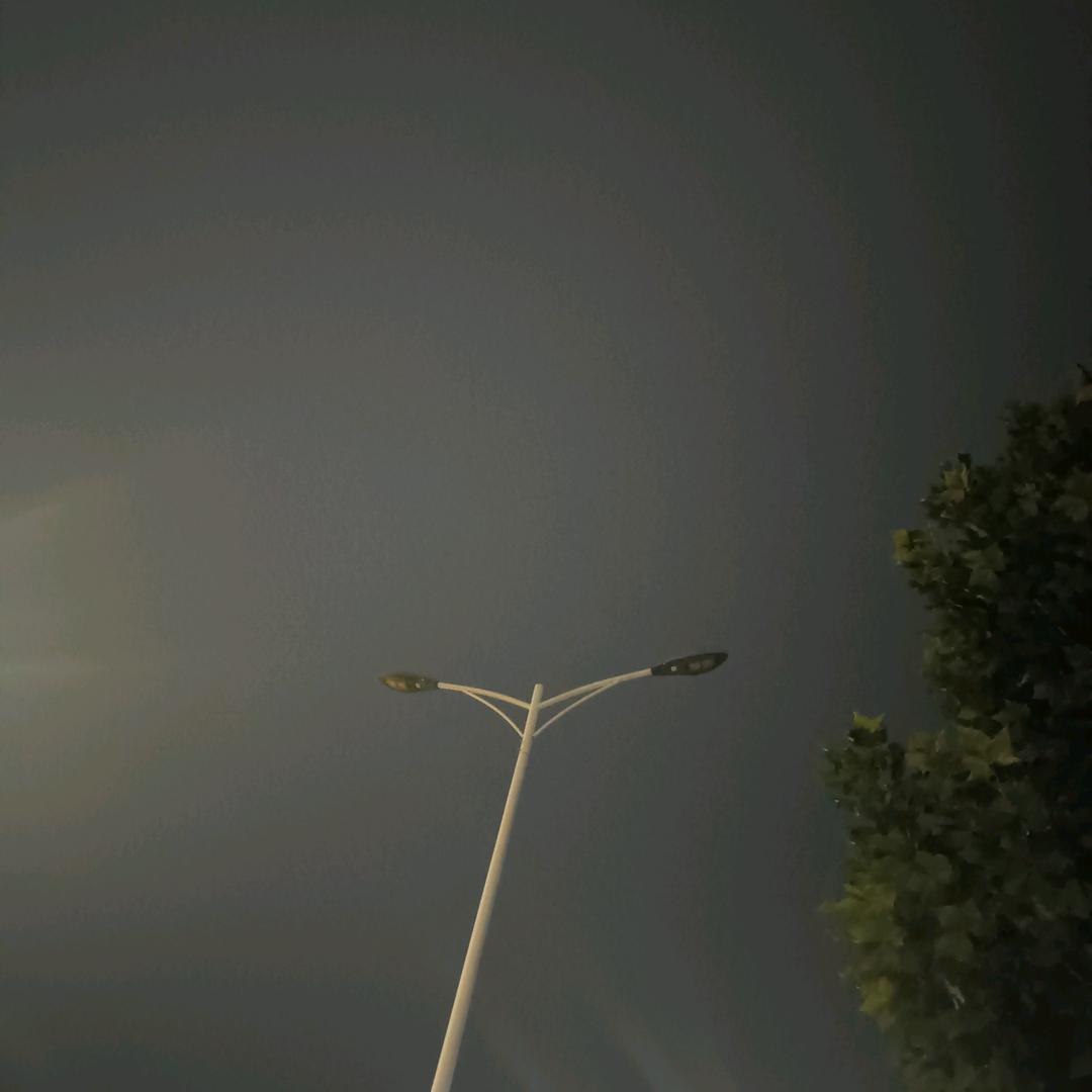 没有真心可言。（敢爱敢恨）