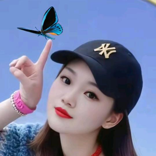 💞小凤凰💞