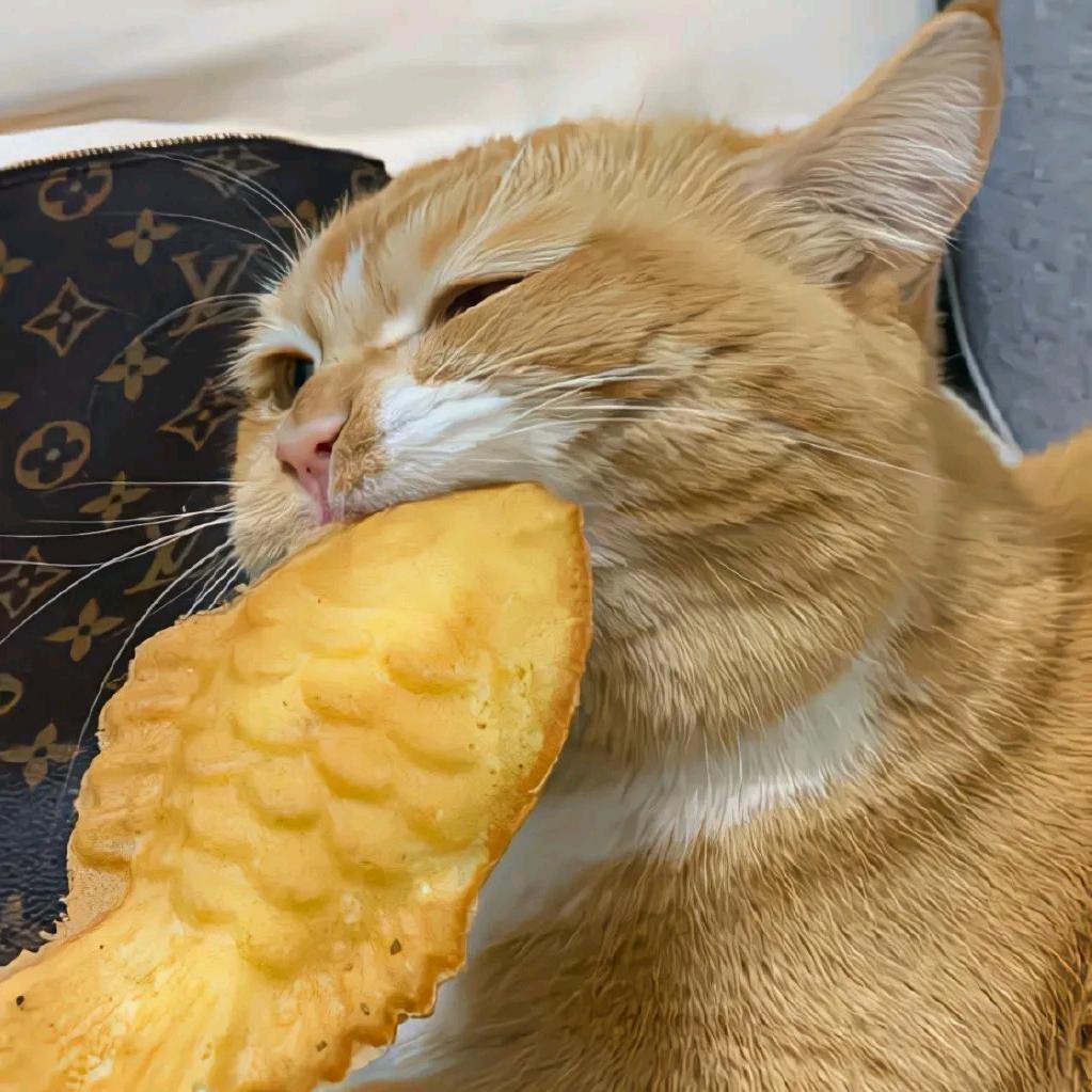十一