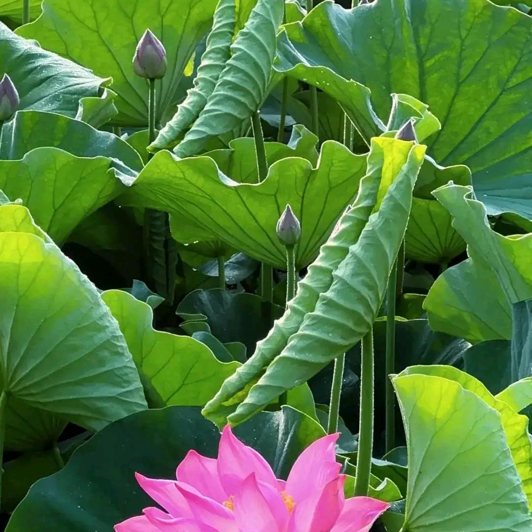 平安