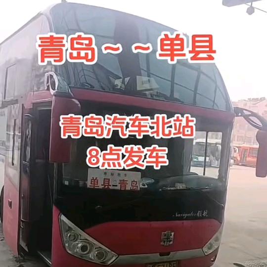 单县青岛