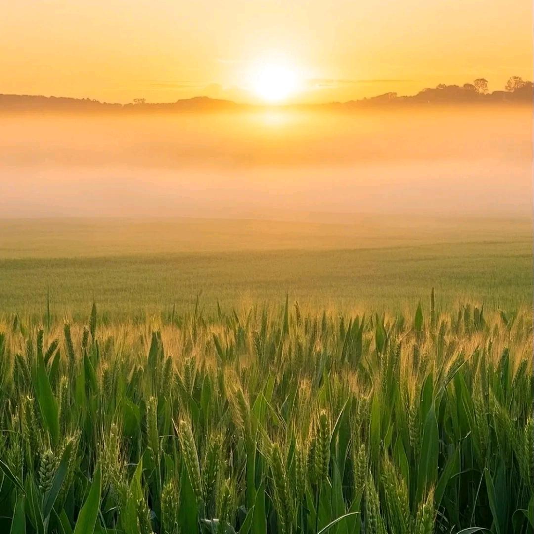 吉祥🌸💍弘L.李