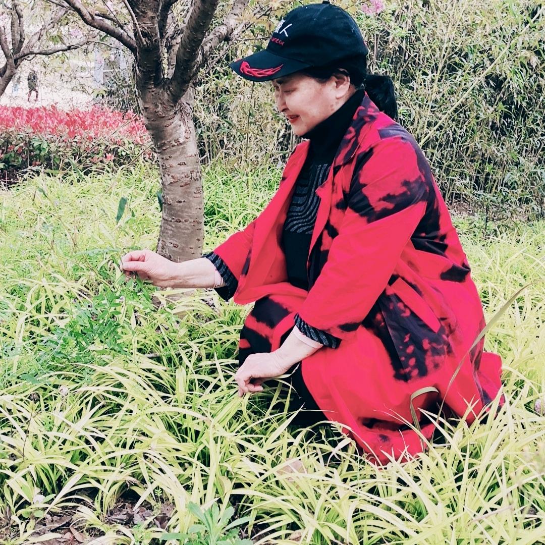 叶子。