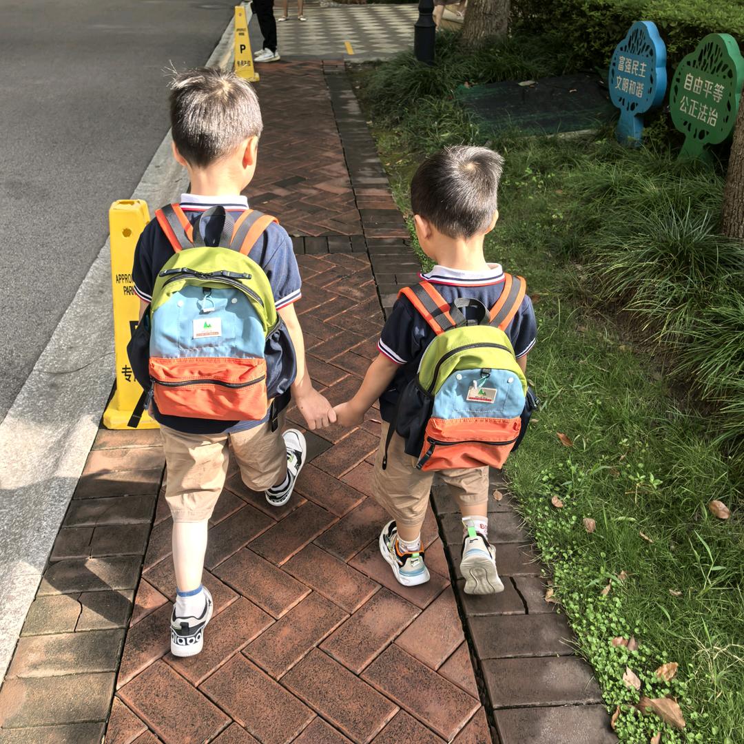 小政政小树苗麻麻😘