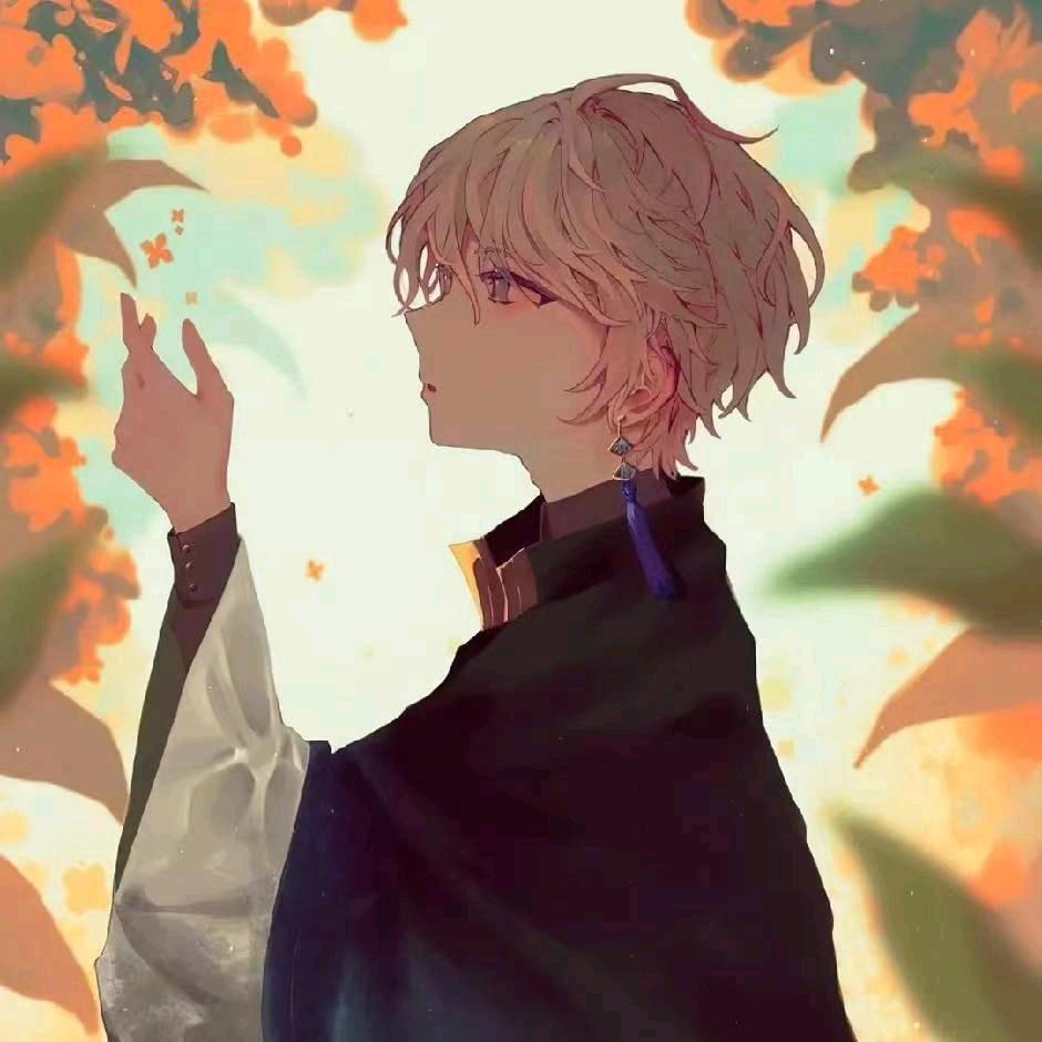 惊鸿🎶
