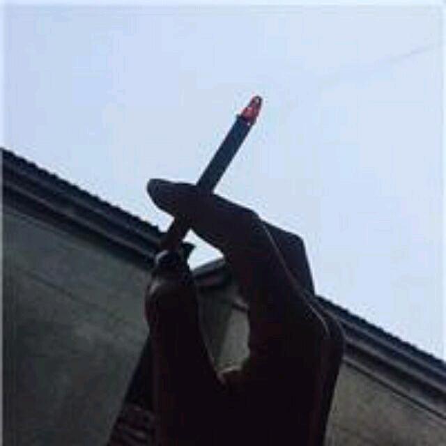 恰似动情