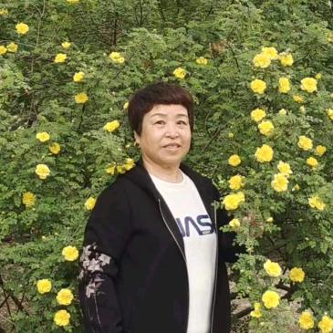 洋洋奶奶