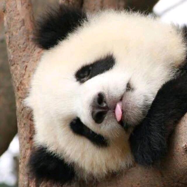 虹尘