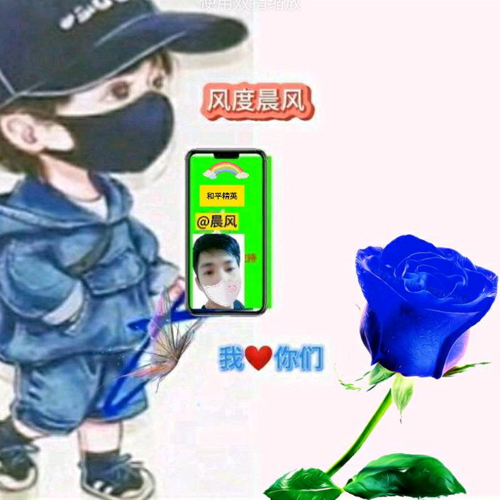 抖音风度晨风（和平精英）