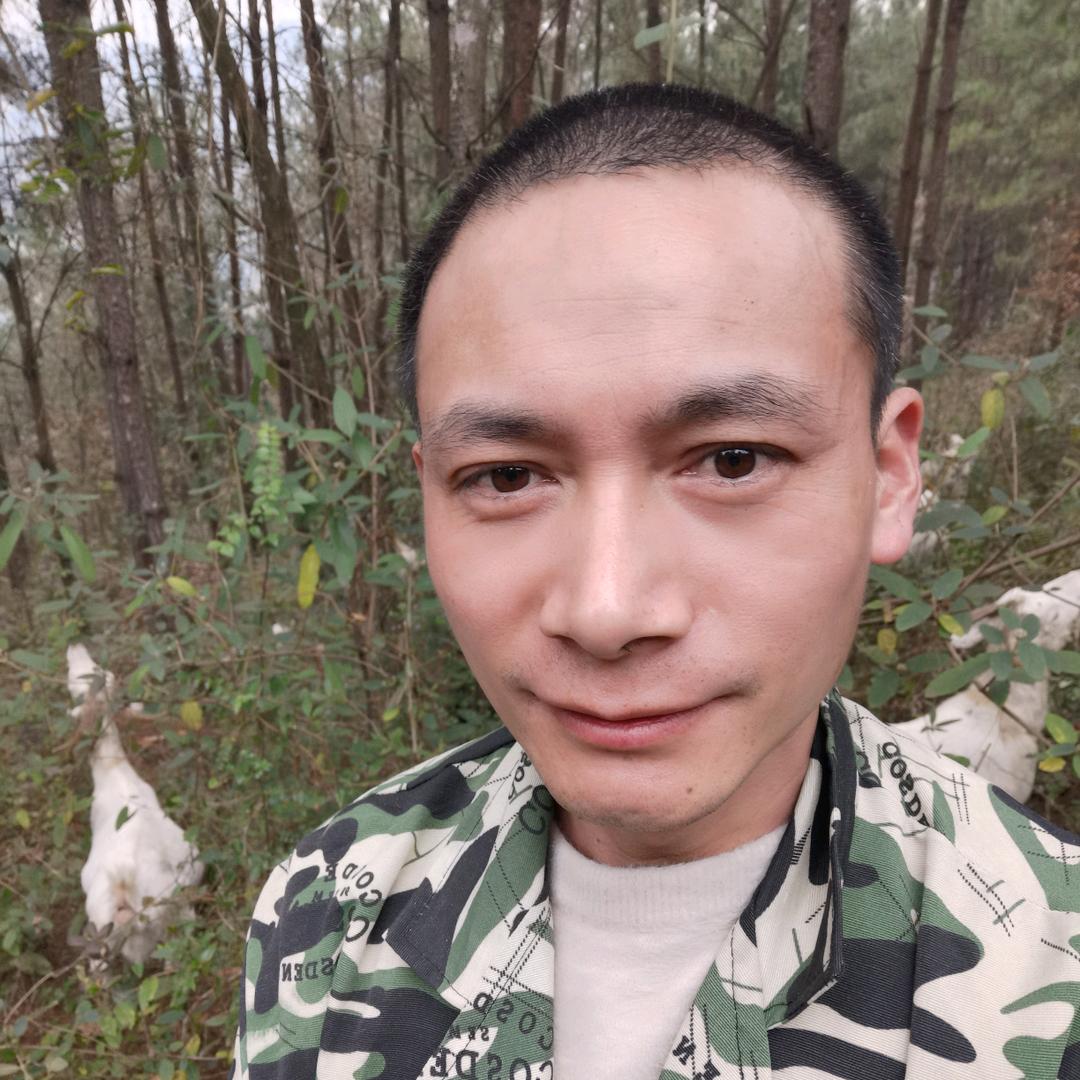 梦宇