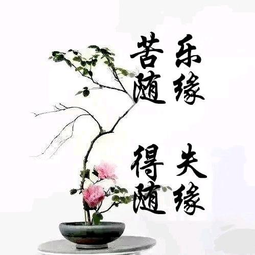 橡皮泥