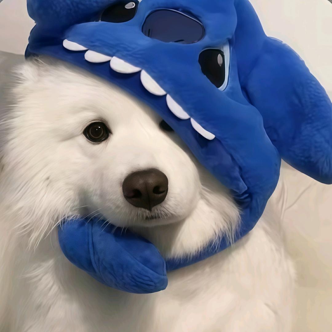 晓嘉.