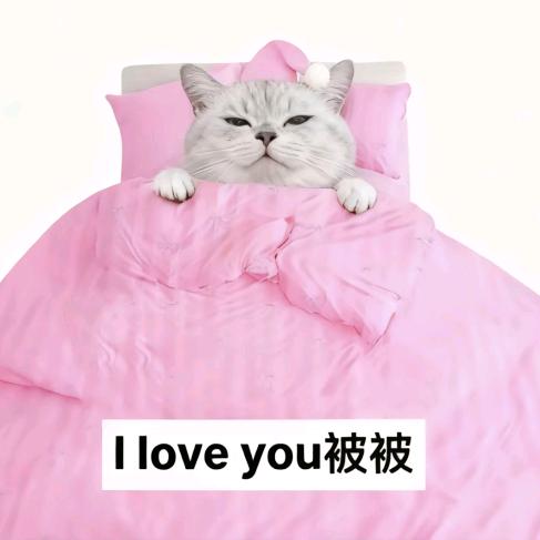 不想吃饭
