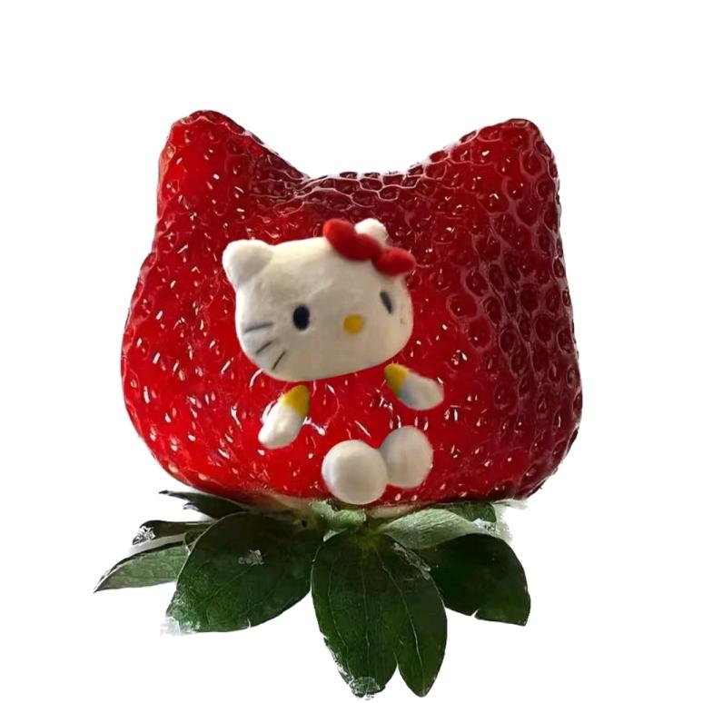 泡泡冰🍓～