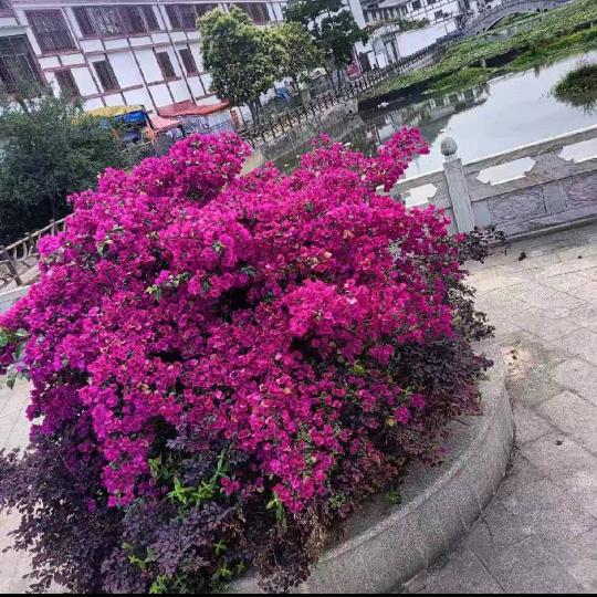 忘不了的过去