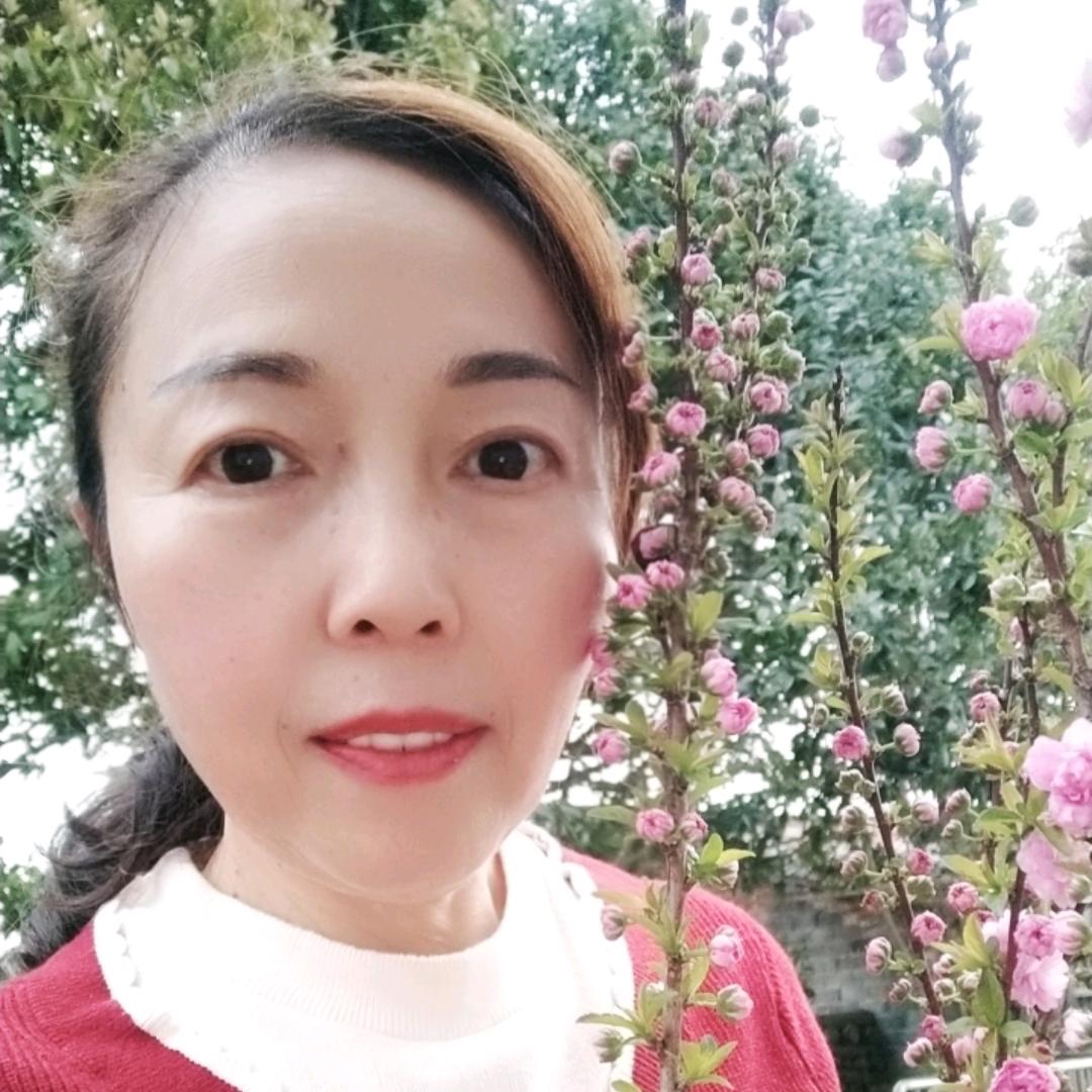 红红68